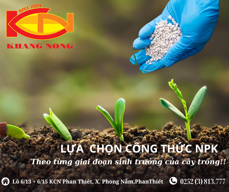 Lựa chọn công thức NPK theo từng giai đoạn sinh trưởng của cây trồng